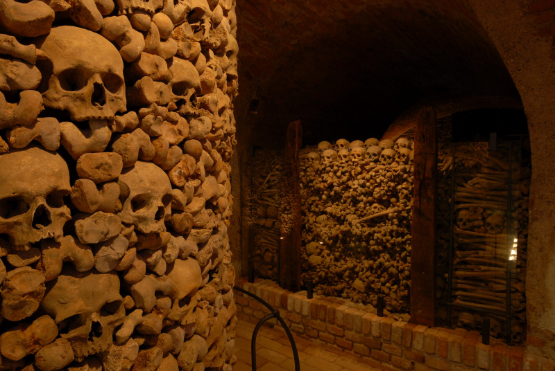 Illustration for article titled These Buildings Are Made with Skulls and Bones
